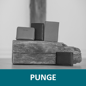PUNGE