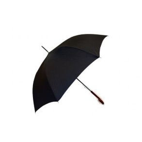 Paraplyer -