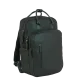 william-milwaukee-rygs�k-i-gr�n