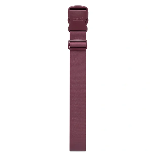 Epic luggage strap