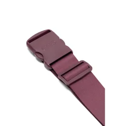 Epic luggage strap